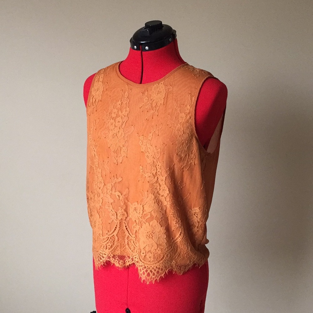 Sheer back lace blouse